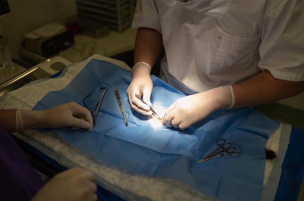 STERILISATION (1)